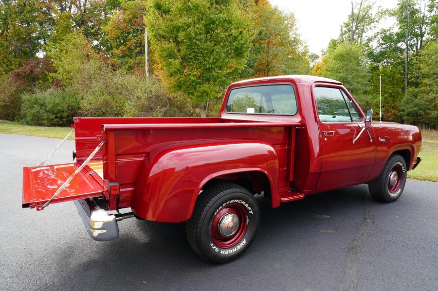  Dodge D100 Custom Pickup 1979 года  (фото 3 из 92)